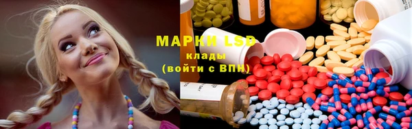 прущие грибы Гусиноозёрск