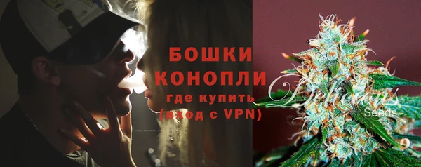 ГАЛЛЮЦИНОГЕННЫЕ ГРИБЫ Гусев