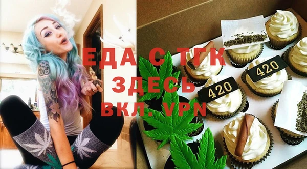 эйфоретик Гусь-Хрустальный