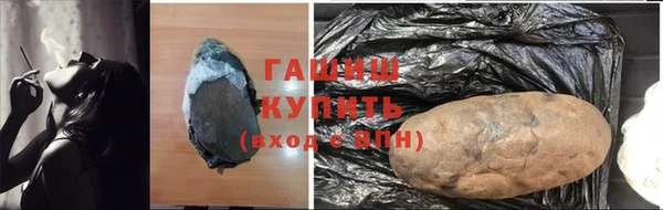 прущие грибы Гусиноозёрск