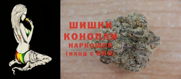 эйфоретик Гусь-Хрустальный