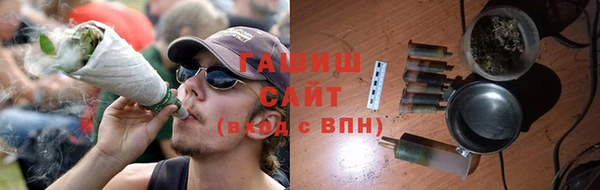 прущие грибы Гусиноозёрск