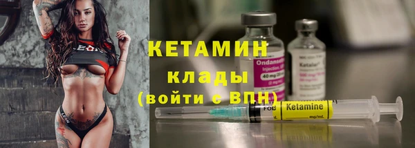 прущие грибы Дмитровск