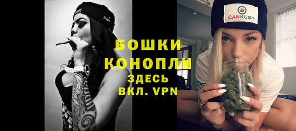 эйфоретик Гусь-Хрустальный