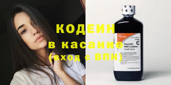 ГАЛЛЮЦИНОГЕННЫЕ ГРИБЫ Гусев
