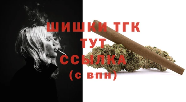 эйфоретик Гусь-Хрустальный