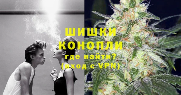 ГАЛЛЮЦИНОГЕННЫЕ ГРИБЫ Гусев