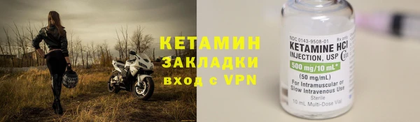 прущие грибы Дмитровск