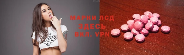 эйфоретик Гусь-Хрустальный
