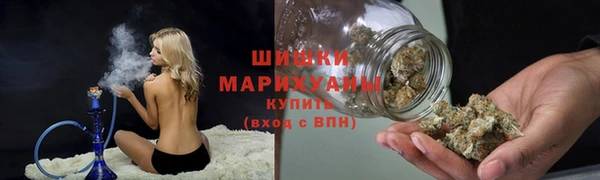 ПСИЛОЦИБИНОВЫЕ ГРИБЫ Дмитров