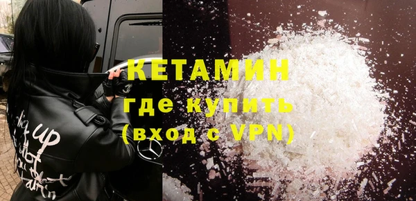 прущие грибы Гусиноозёрск