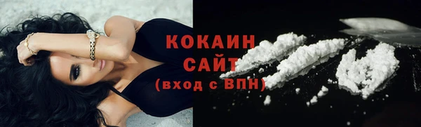 ГАЛЛЮЦИНОГЕННЫЕ ГРИБЫ Гусев