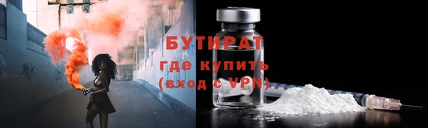 прущие грибы Гусиноозёрск