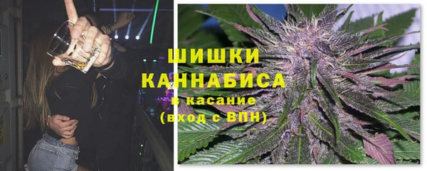 прущие грибы Гусиноозёрск