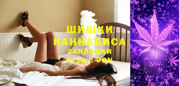 ГАЛЛЮЦИНОГЕННЫЕ ГРИБЫ Гусев