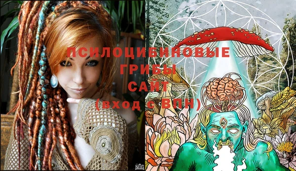 ГАЛЛЮЦИНОГЕННЫЕ ГРИБЫ Гусев