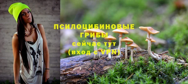 эйфоретик Гусь-Хрустальный