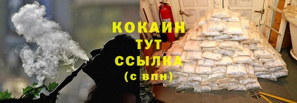 ГАЛЛЮЦИНОГЕННЫЕ ГРИБЫ Гусев
