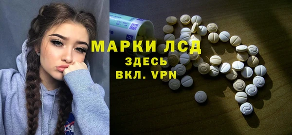 ГАЛЛЮЦИНОГЕННЫЕ ГРИБЫ Гусев