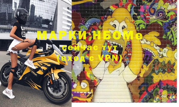 прущие грибы Гусиноозёрск