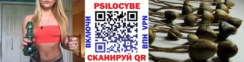 Купить  Павловская  Галлюциногенные грибы Psilocybine cubensis 