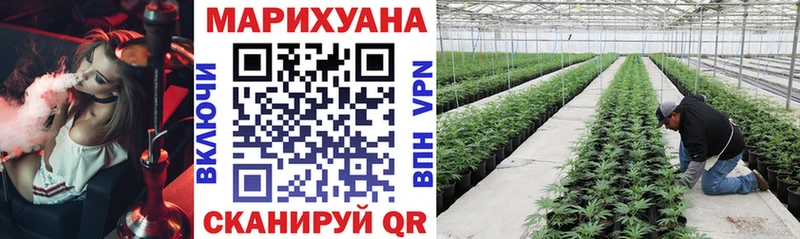 Бошки Шишки тримм Павловская